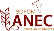 Logotipo de Servicios Financieros ANEC, S.A. de C.V. SOFOM E.N.R.